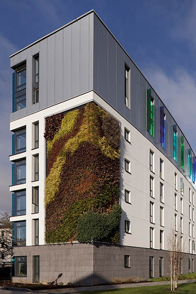 edificio-madera-contralaminado - storaenso