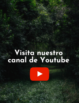 Canal Youtube Biopasiva